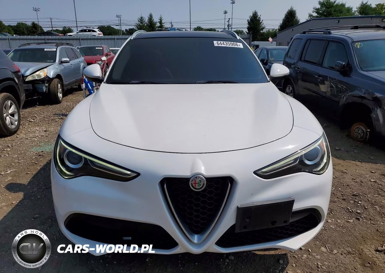 2019 Alfa Romeo Stelvio VIN:ZASPAKAN5K7C71610 - 5