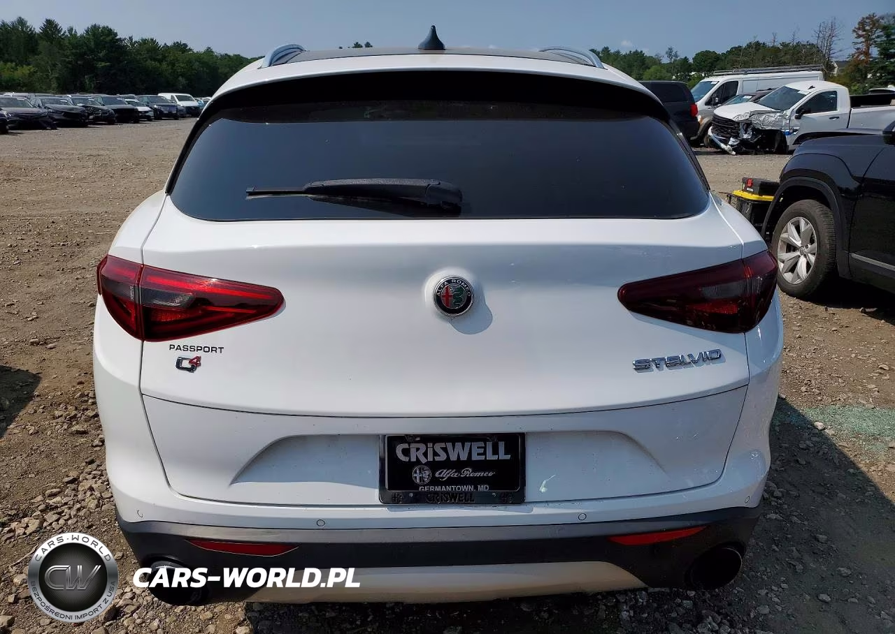 2019 Alfa Romeo Stelvio VIN:ZASPAKAN5K7C71610 - 6