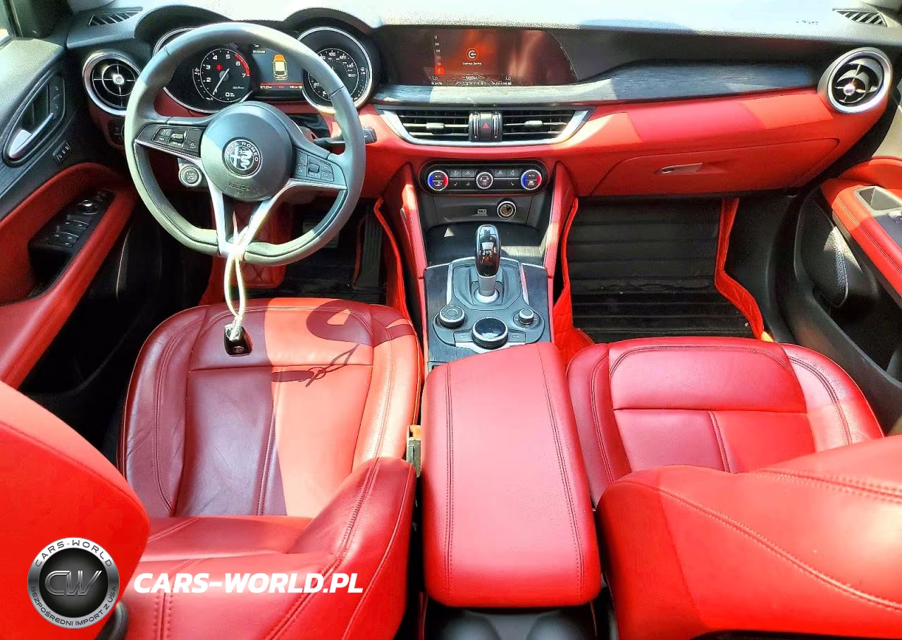 2019 Alfa Romeo Stelvio VIN:ZASPAKAN5K7C71610 - 8