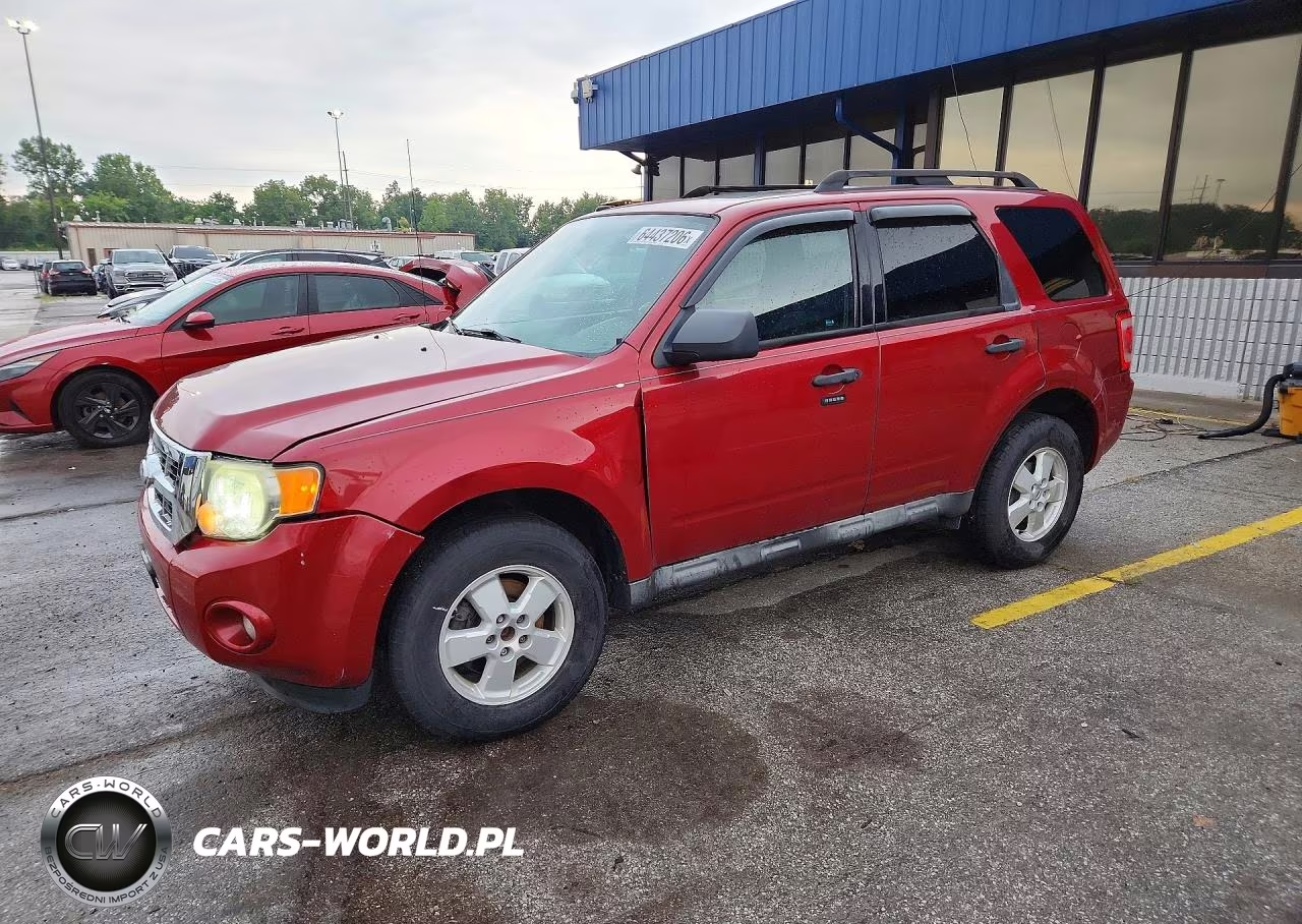 2010 Ford Escape Xlt
