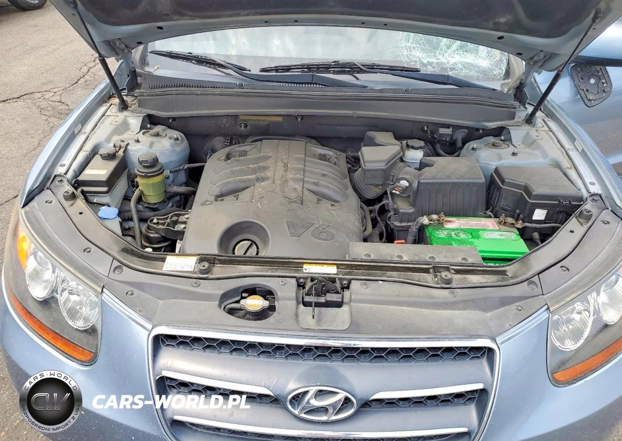 2009 Hyundai Santa Fe Limited VIN:5NMSH73E59H306934 - 11
