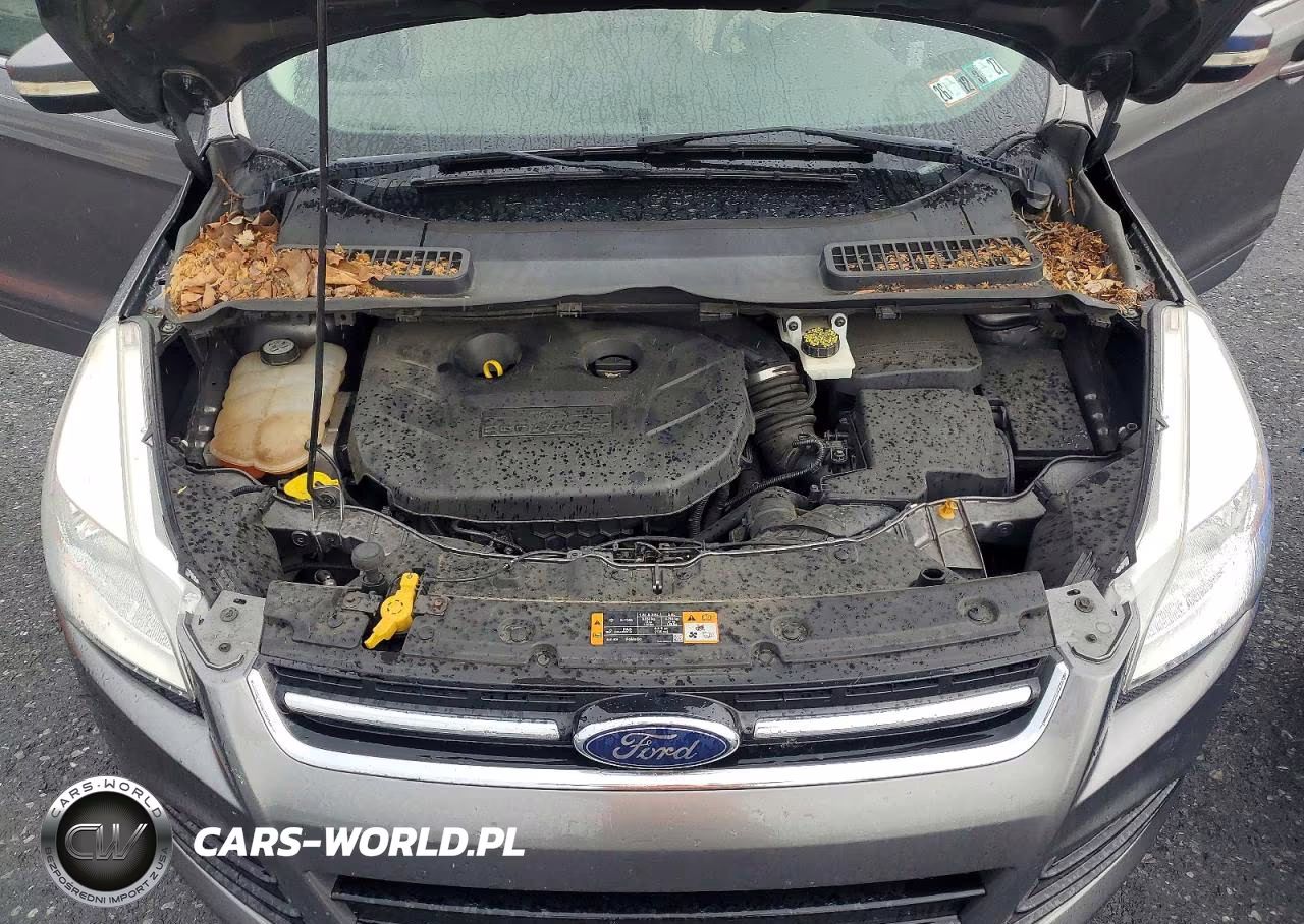 2013 Ford Escape Sel VIN:1FMCU0H97DUD83997 - 12