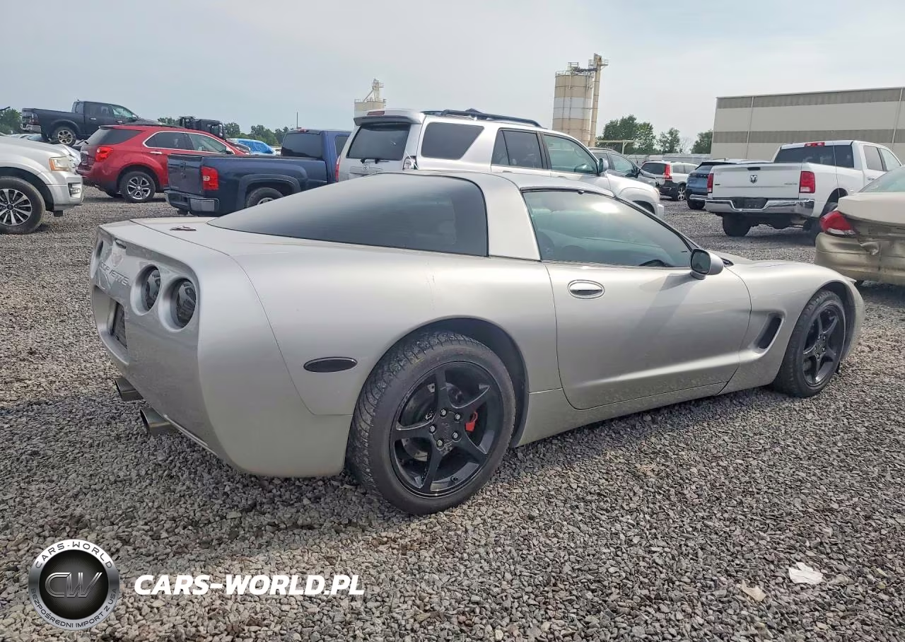 2004 Chevrolet Corvette VIN:1G1YY22G845127503 - 3