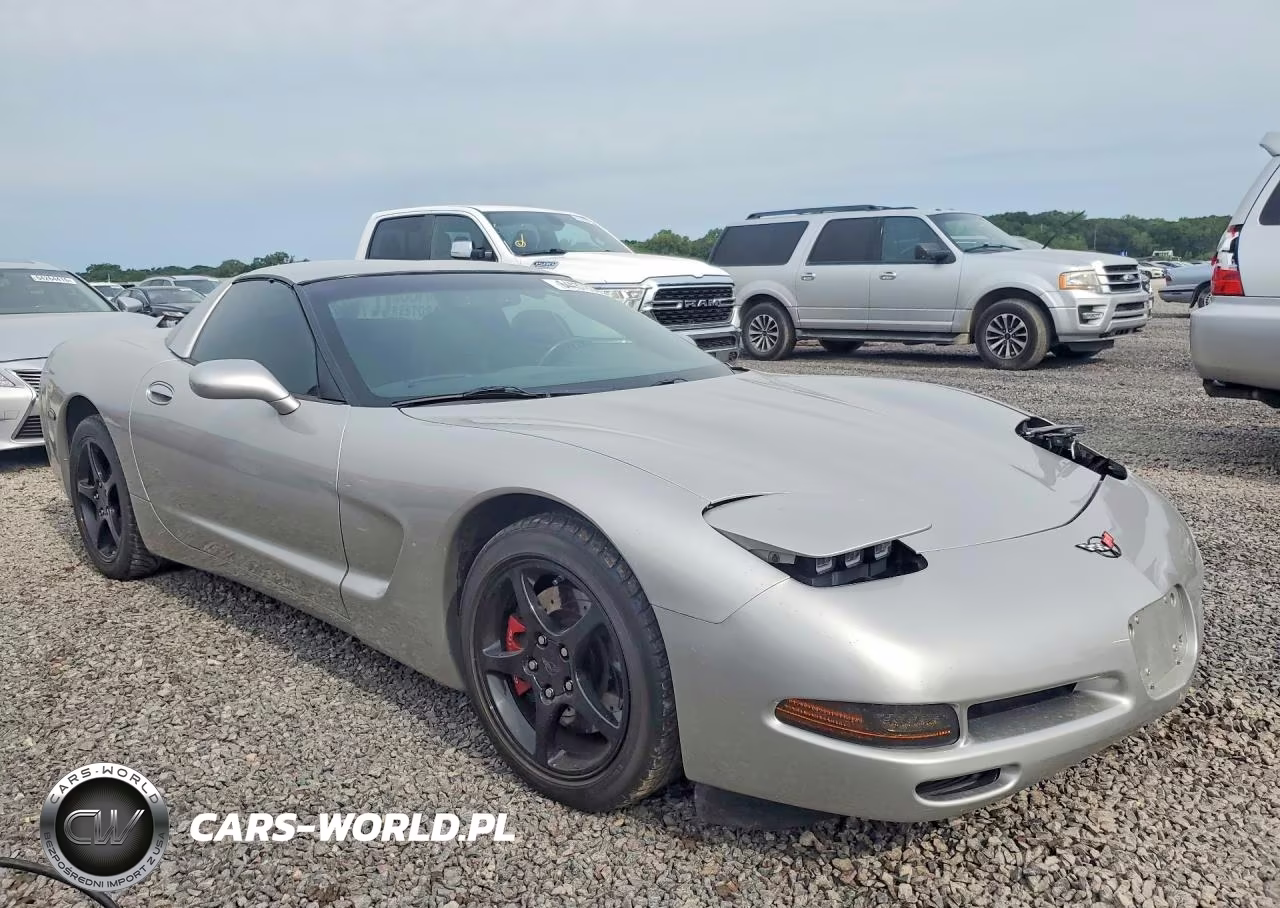 2004 Chevrolet Corvette VIN:1G1YY22G845127503 - 4