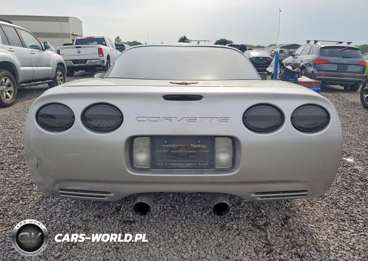2004 Chevrolet Corvette VIN:1G1YY22G845127503 - 6