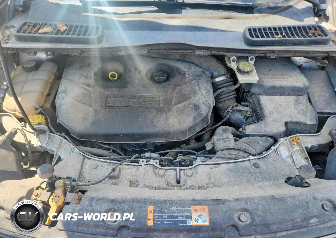 2013 Ford Escape Sel VIN:1FMCU9H97DUC95701 - 11