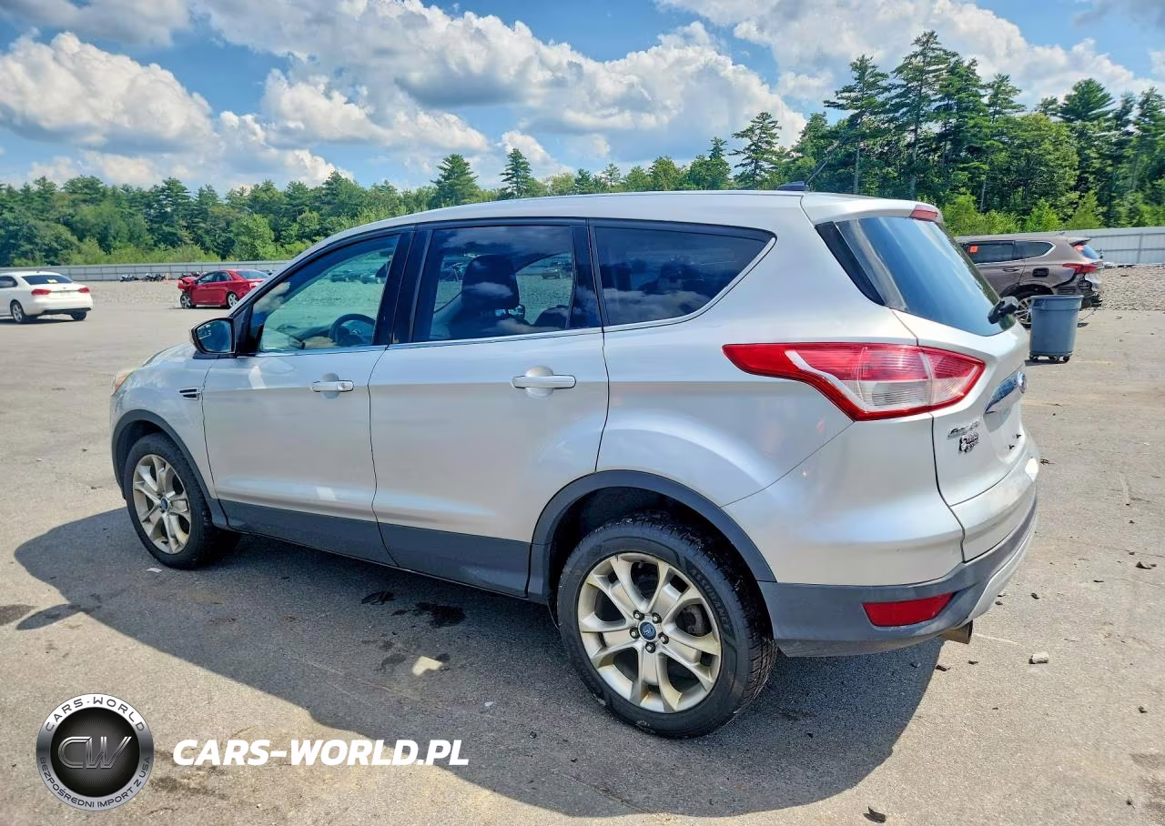 2013 Ford Escape Sel VIN:1FMCU9H97DUC95701 - 2