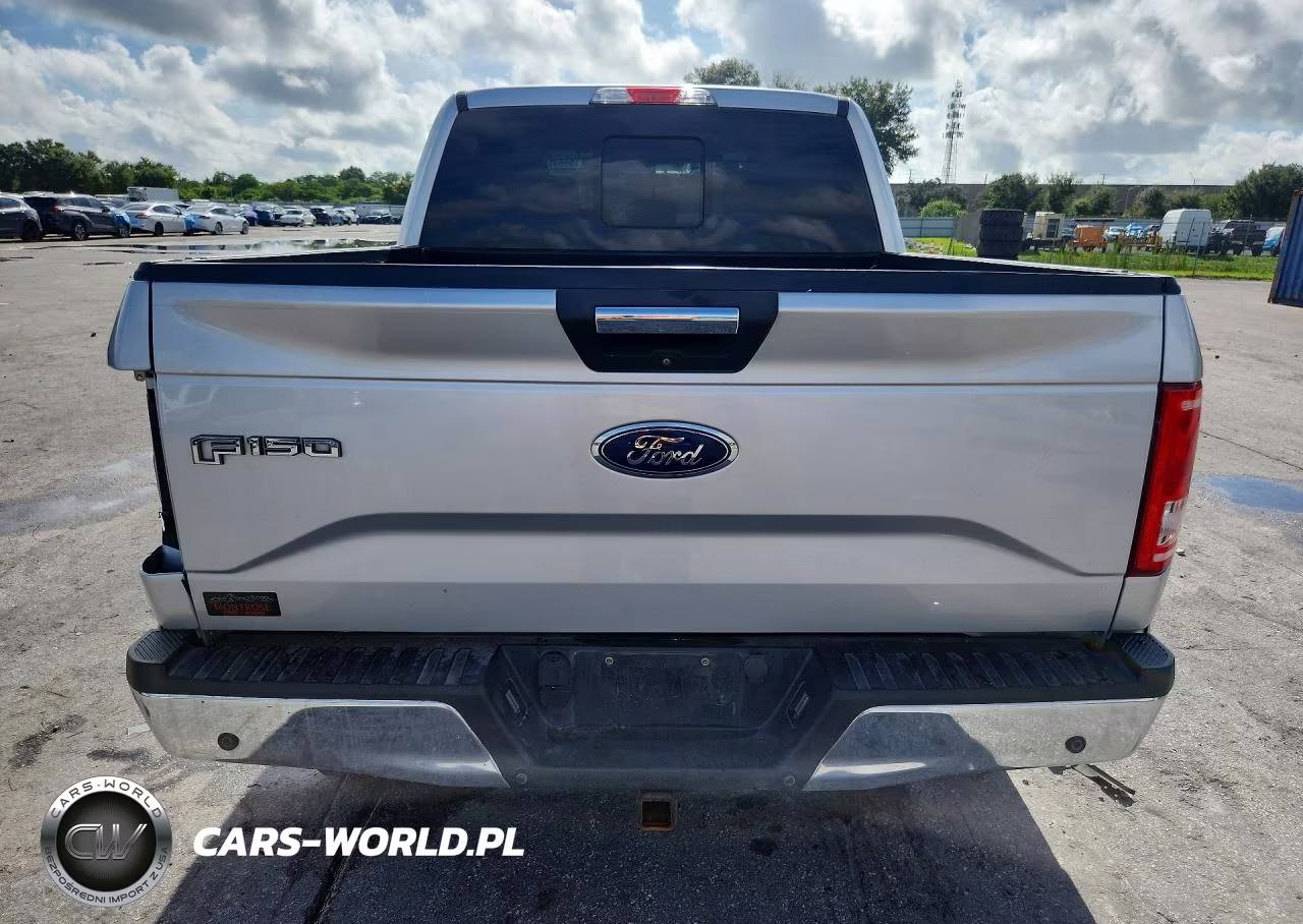 2016 Ford F150 Supercrew VIN:1FTEW1EP9GKF39389 - 6