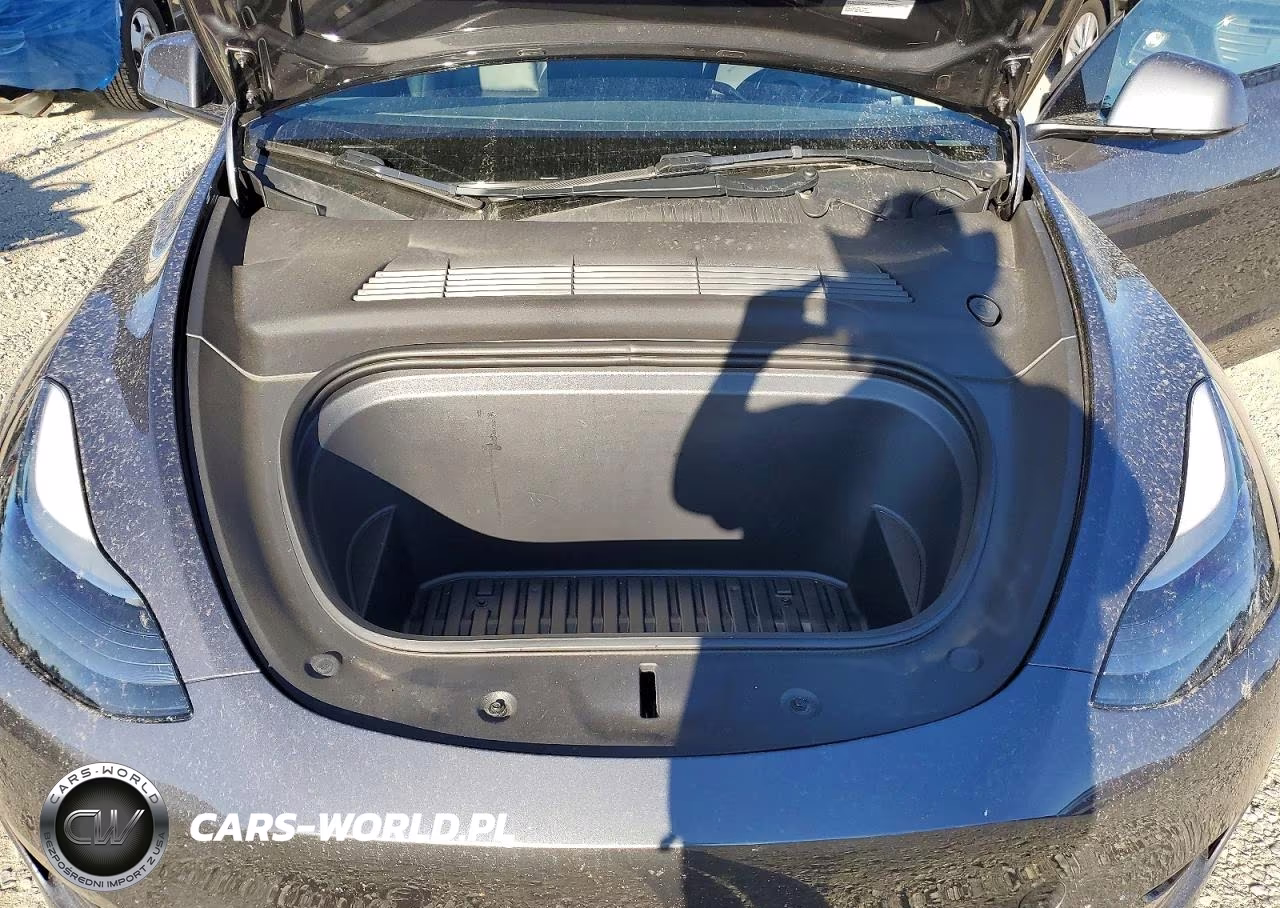 2023 Tesla Model Y VIN:7SAYGDEEXPF609332 - 12