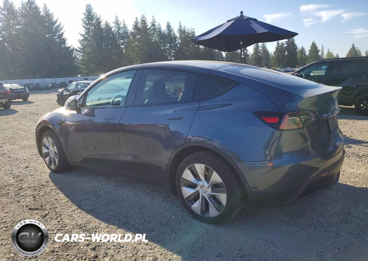 2023 Tesla Model Y VIN:7SAYGDEEXPF609332 - 2