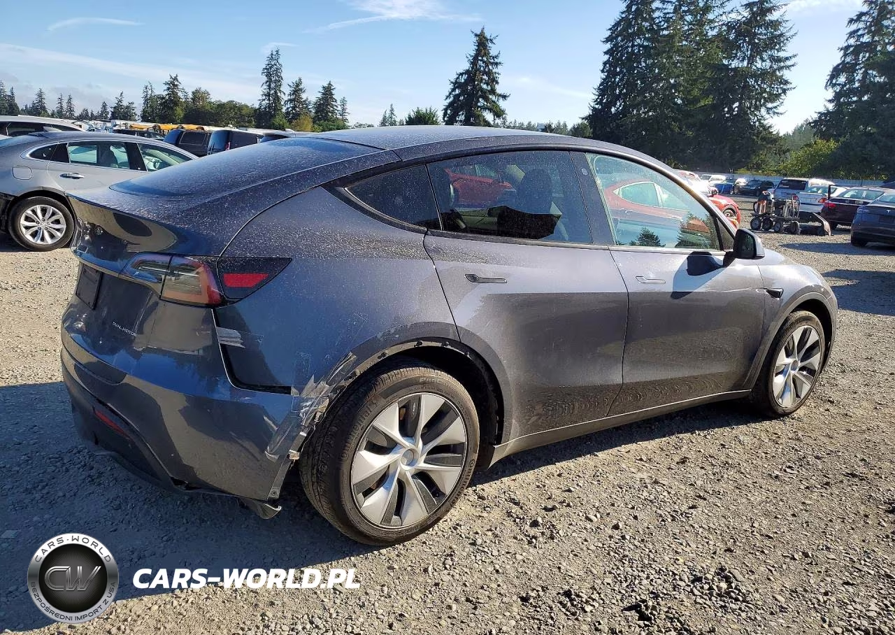 2023 Tesla Model Y VIN:7SAYGDEEXPF609332 - 3