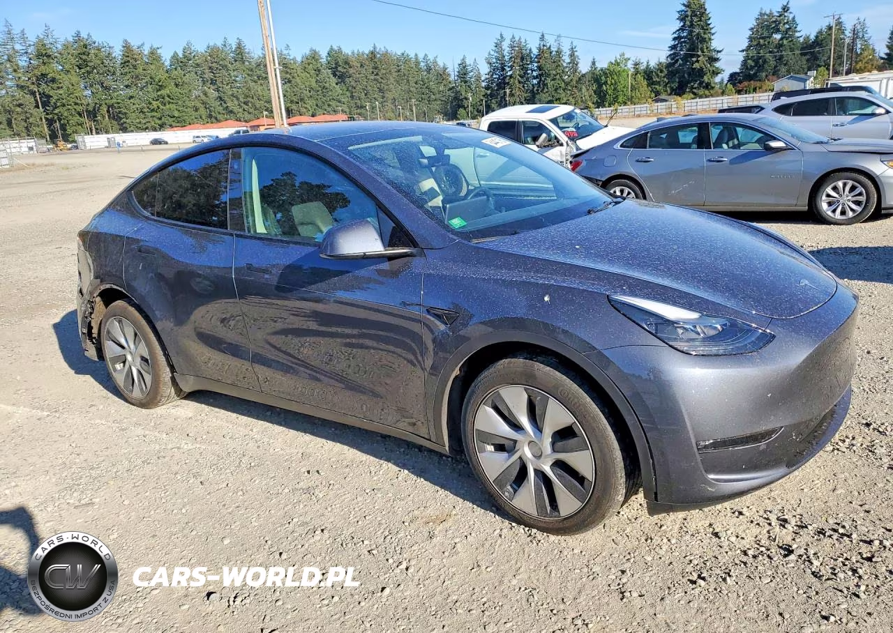 2023 Tesla Model Y VIN:7SAYGDEEXPF609332 - 4