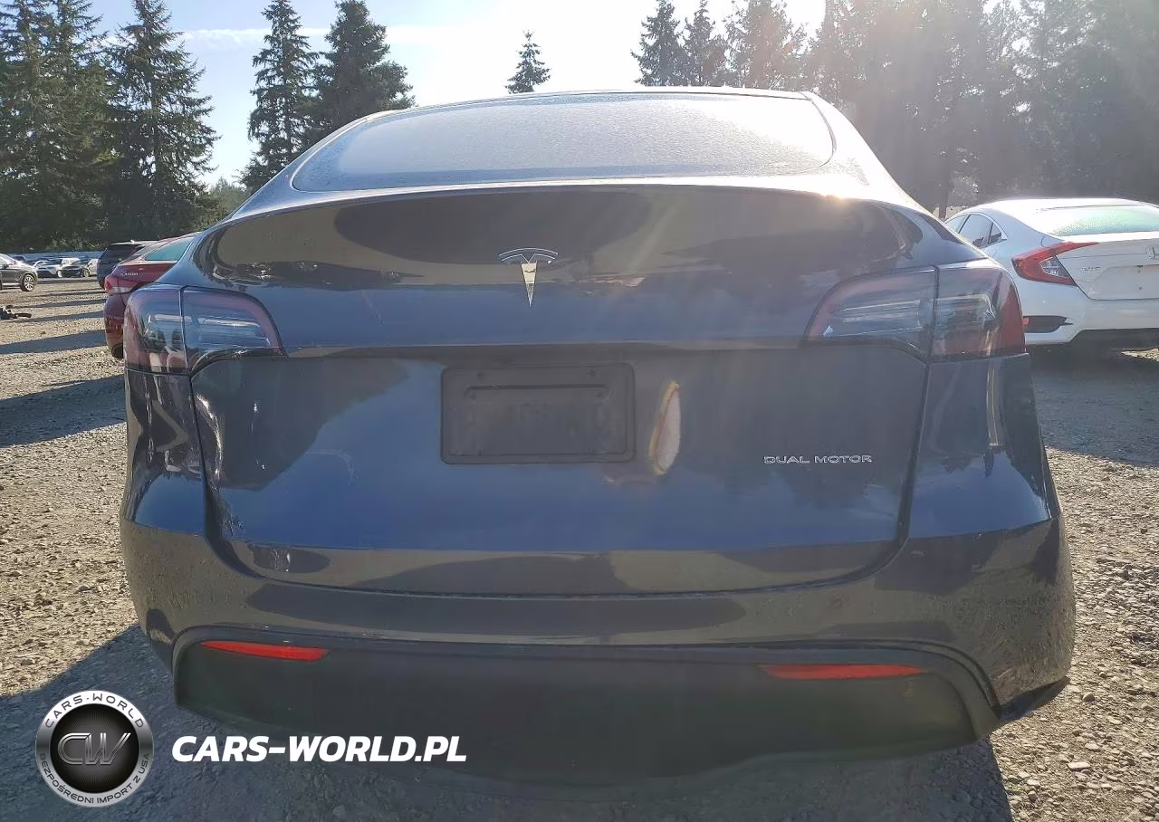 2023 Tesla Model Y VIN:7SAYGDEEXPF609332 - 6