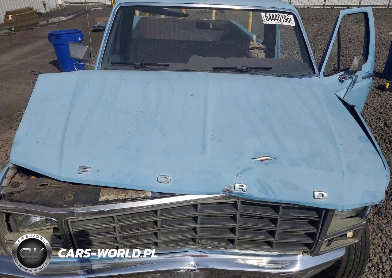 1981 Ford F250 VIN:1FTEF25EXBPA79305 - 11