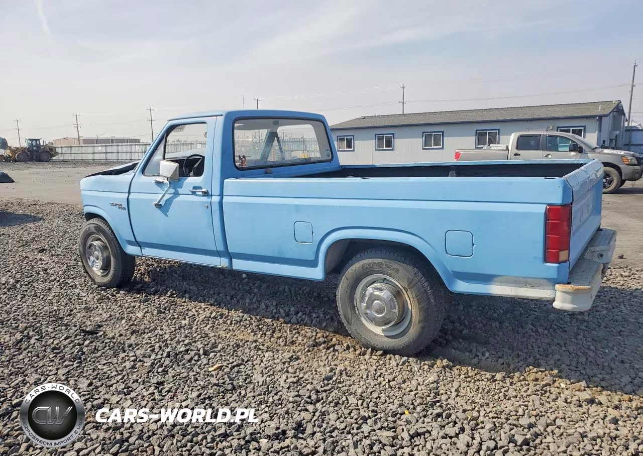 1981 Ford F250 VIN:1FTEF25EXBPA79305 - 2