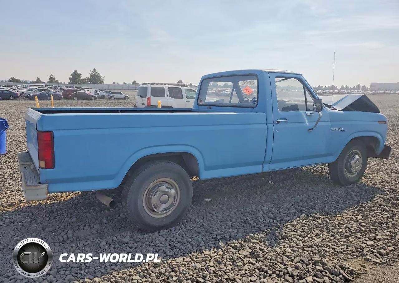 1981 Ford F250 VIN:1FTEF25EXBPA79305 - 3