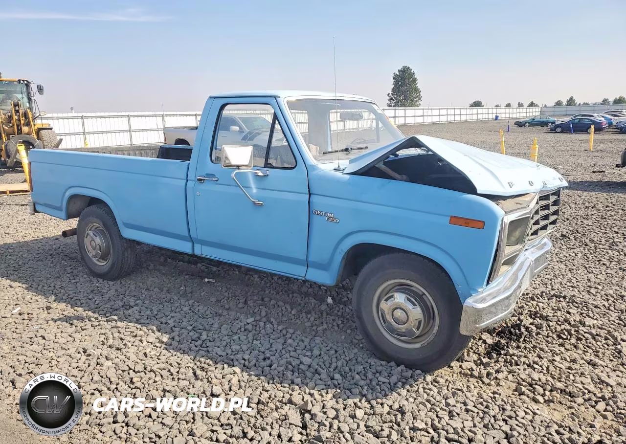 1981 Ford F250 VIN:1FTEF25EXBPA79305 - 4