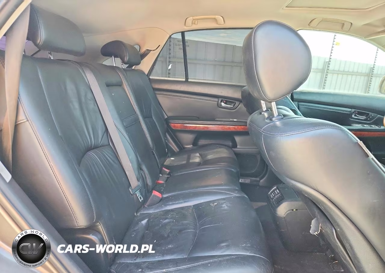 2004 Lexus Rx 330 VIN:JTJGA31U640004507 - 10