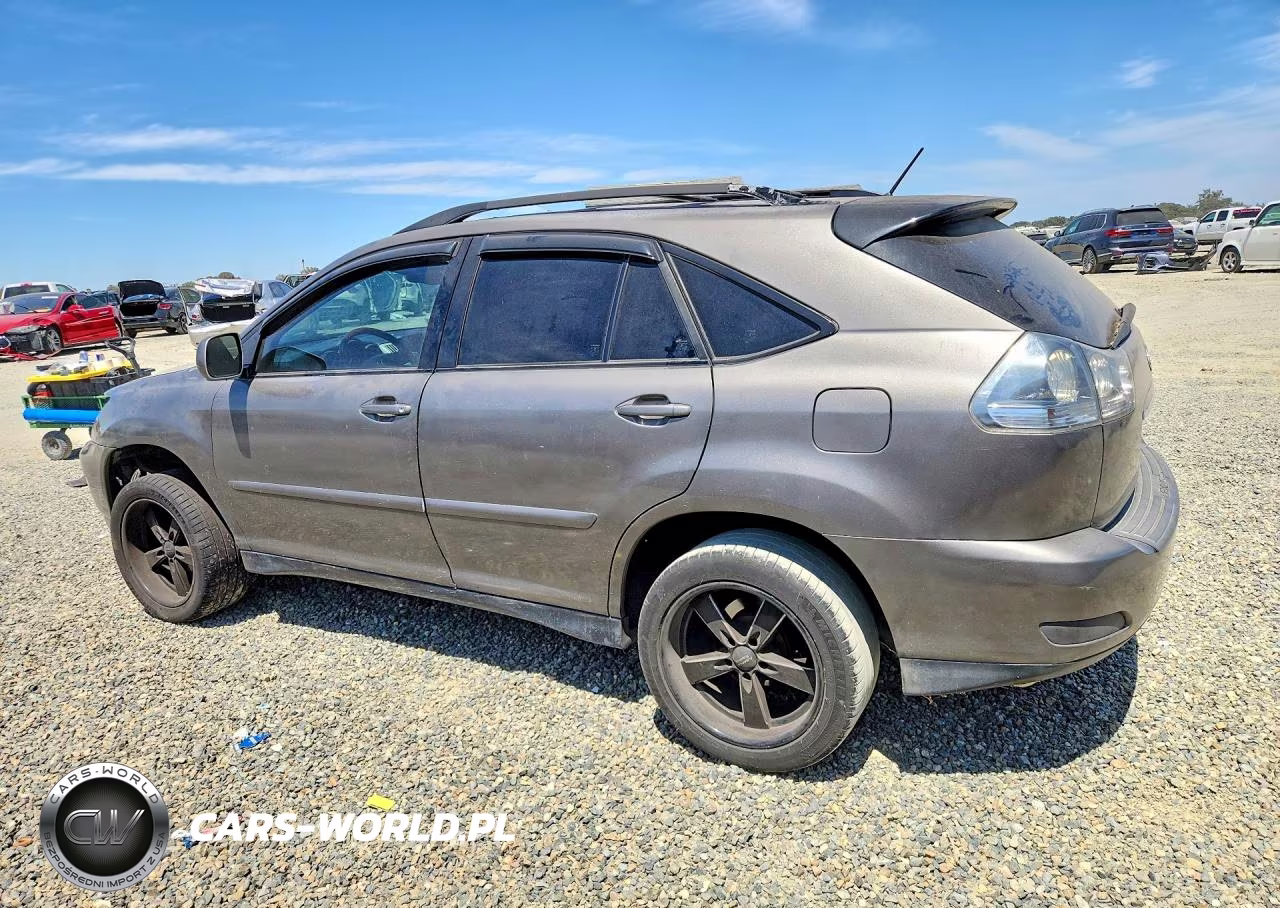 2004 Lexus Rx 330 VIN:JTJGA31U640004507 - 2