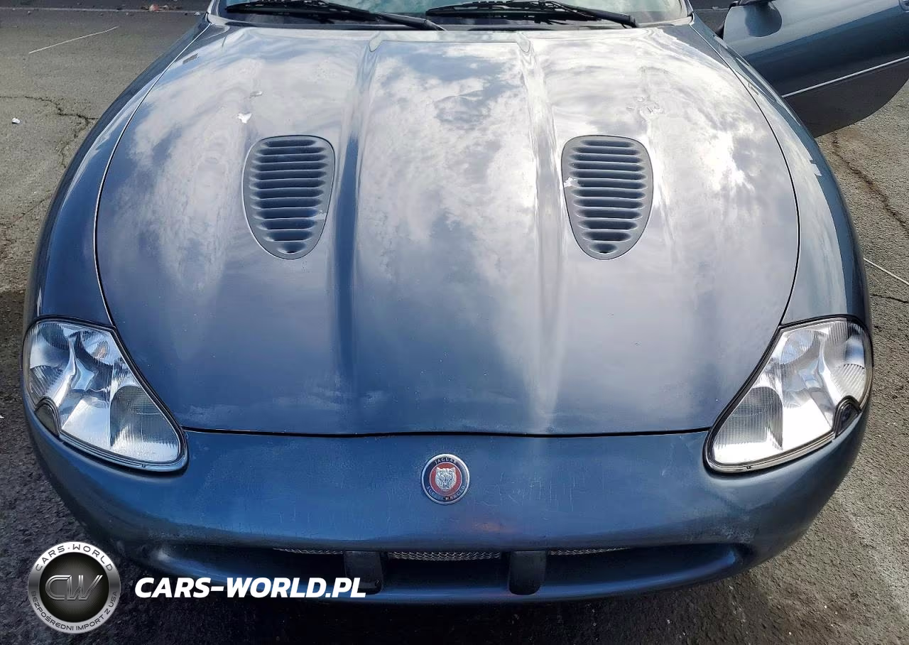 2001 Jaguar Xkr VIN:SAJDA42B61PA18293 - 11