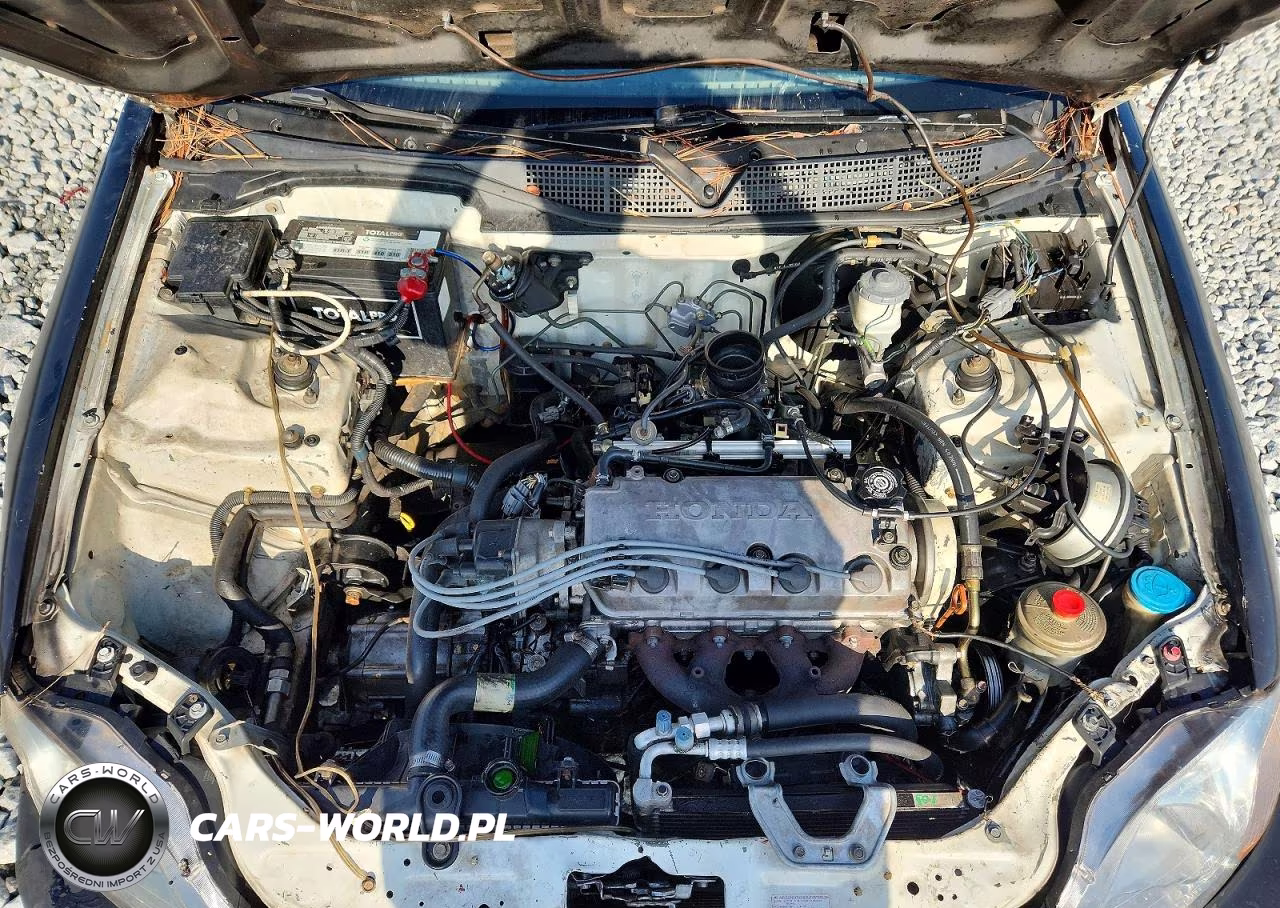 1997 Honda Civic Lx VIN:2HGEJ6679VH539456 - 11