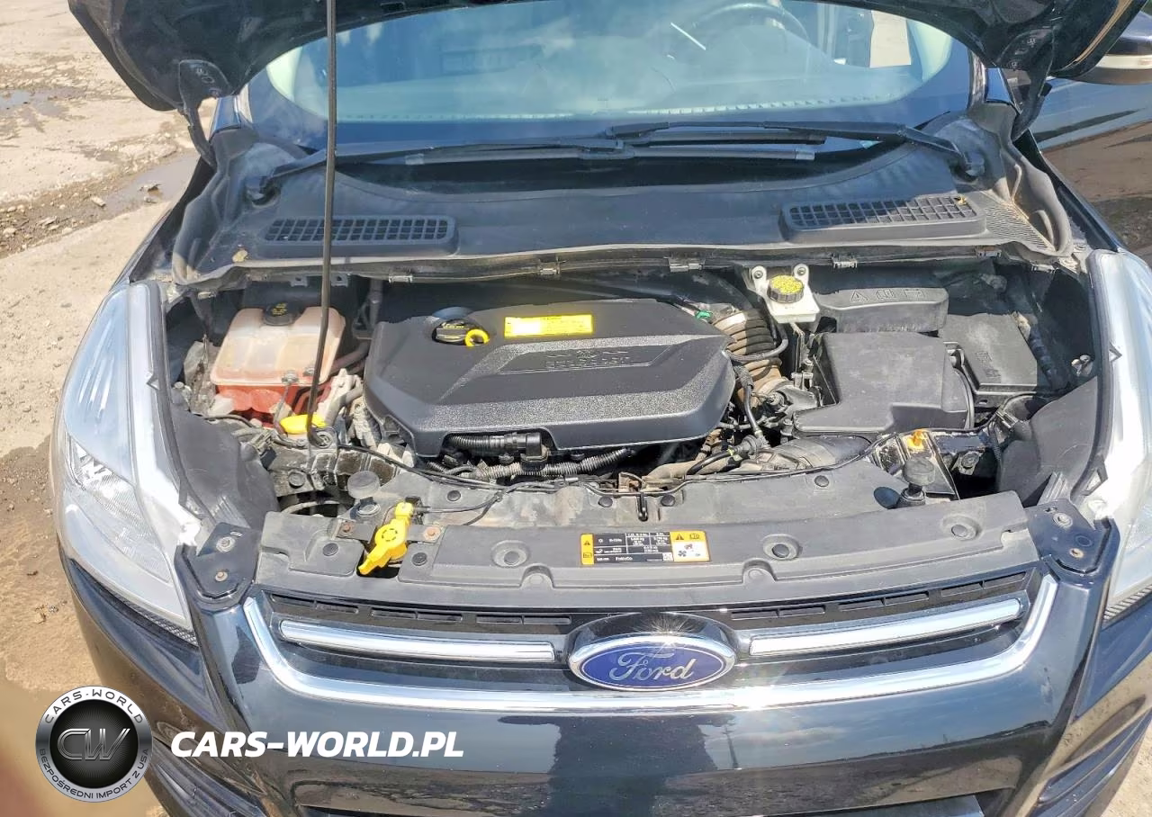 2016 Ford Escape Titanium VIN:1FMCU9JX8GUA28225 - 12