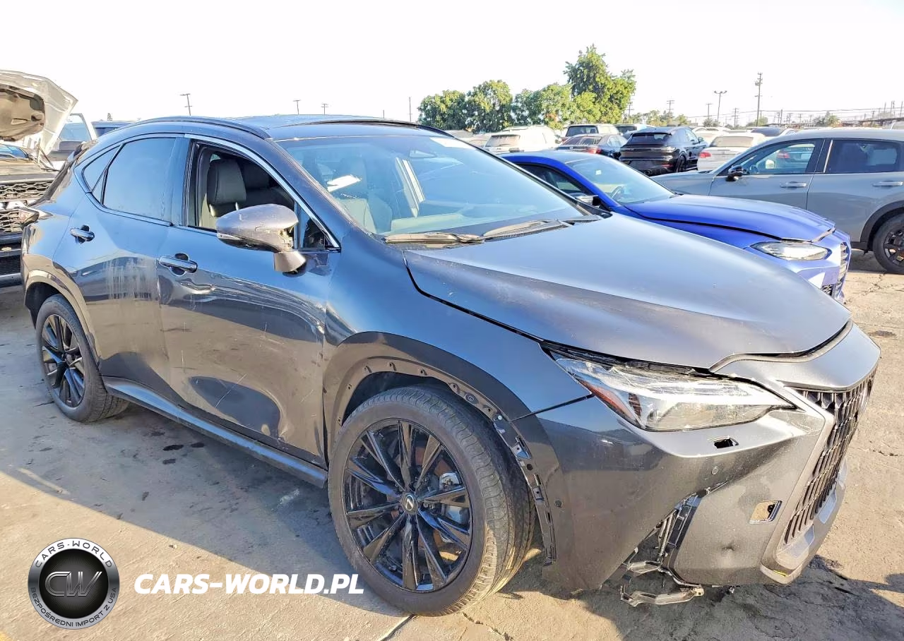 2025 Lexus Nx 350 F Sport Handling VIN:2T2KGCEZ7SC087302 - 4