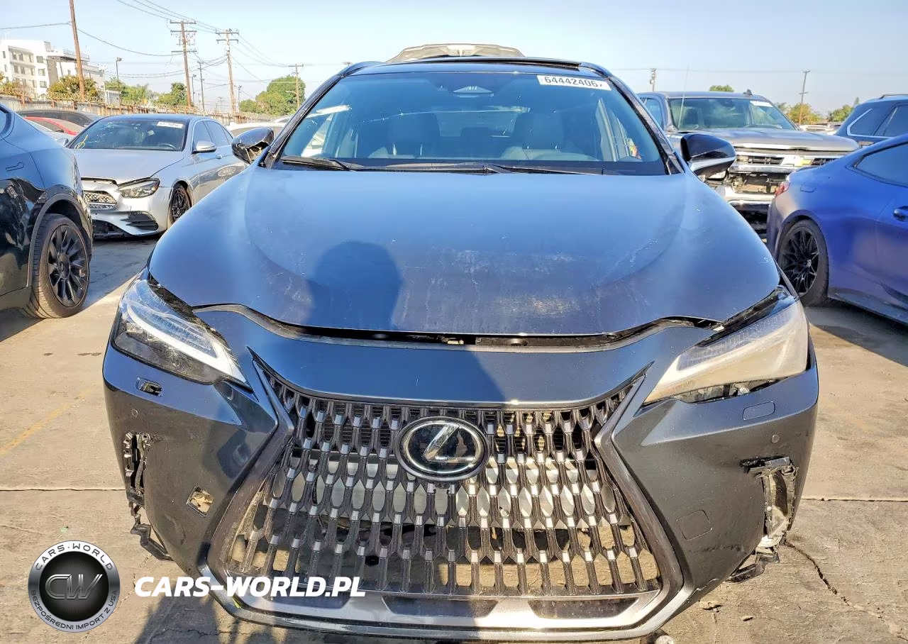 2025 Lexus Nx 350 F Sport Handling VIN:2T2KGCEZ7SC087302 - 5