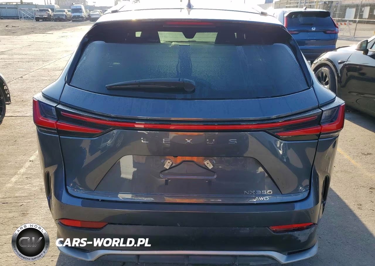 2025 Lexus Nx 350 F Sport Handling VIN:2T2KGCEZ7SC087302 - 6
