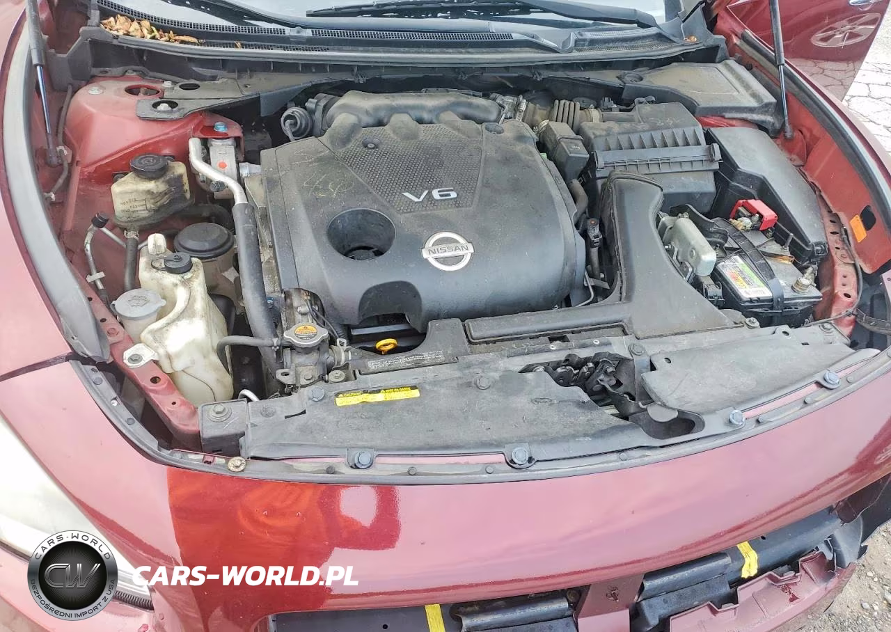 2009 Nissan Maxima 3.5 S VIN:1N4AA51E59C850152 - 11