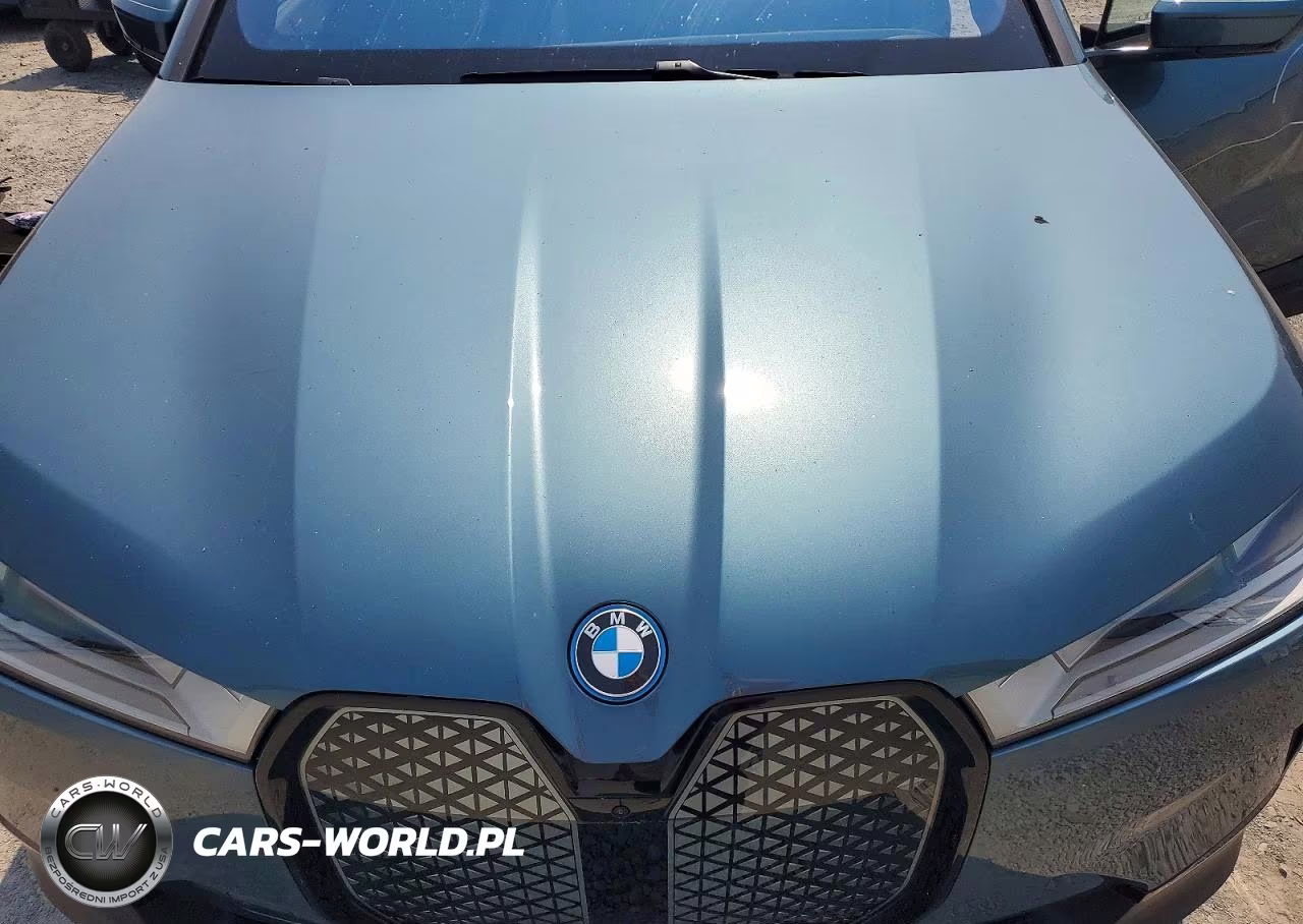 2023 BMW Ix xDrive50 VIN:WB523CF06PCL19822 - 12