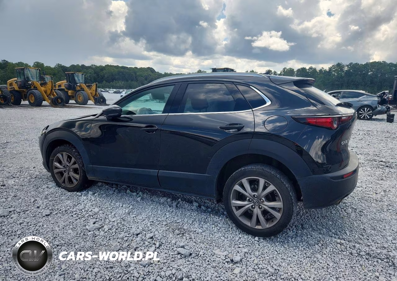 2021 Mazda Cx-30 Premium VIN:3MVDMADL2MM201089 - 2
