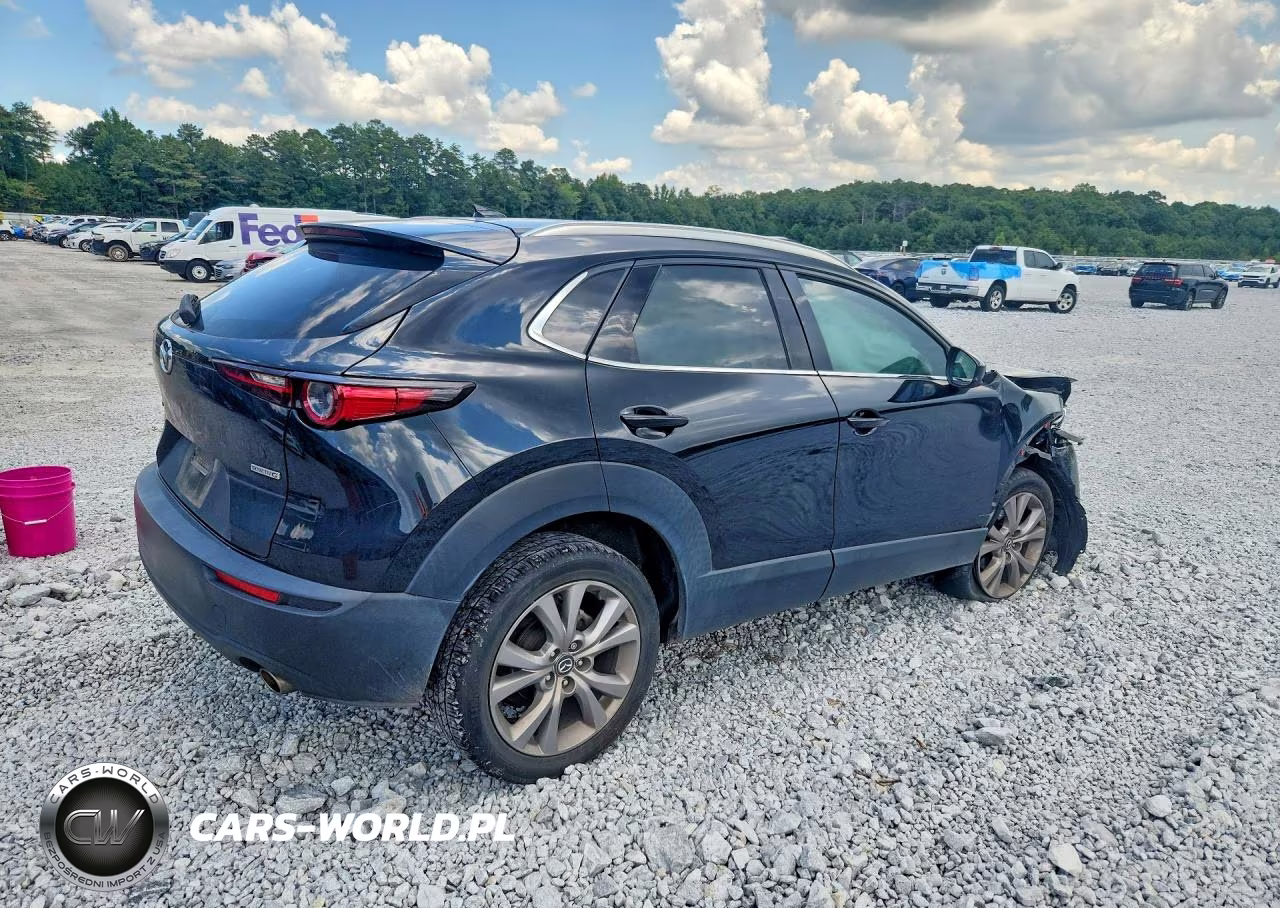 2021 Mazda Cx-30 Premium VIN:3MVDMADL2MM201089 - 3