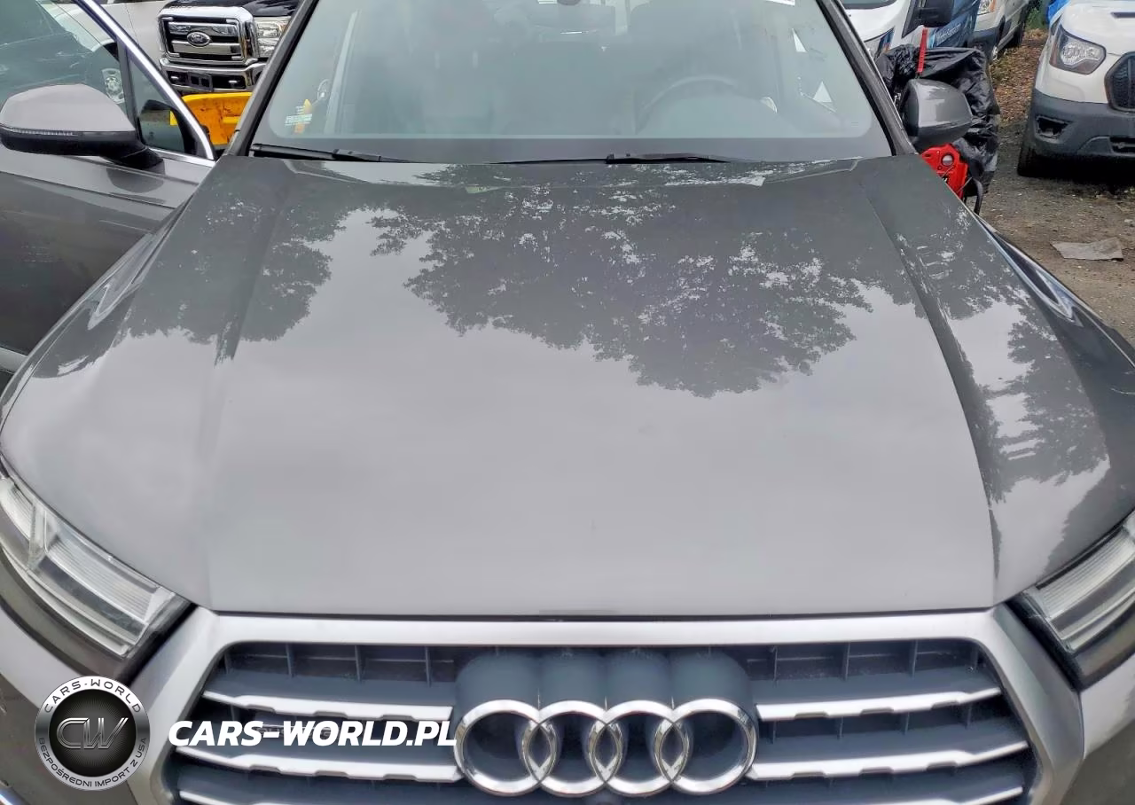 2017 Audi Q7 Premium Plus VIN:WA1LAAF74HD058518 - 12