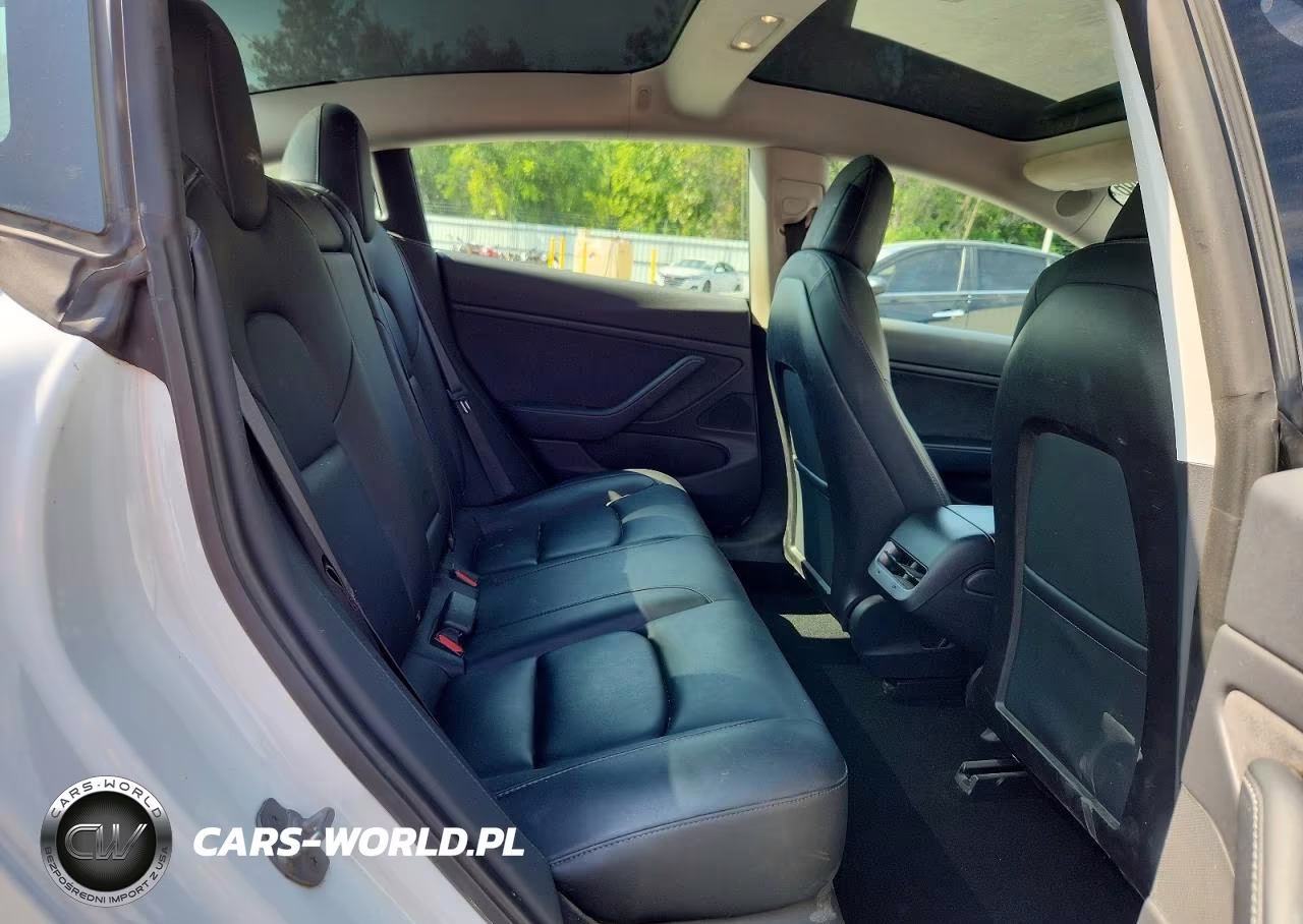 2020 Tesla Model 3 VIN:5YJ3E1EB4LF618233 - 10