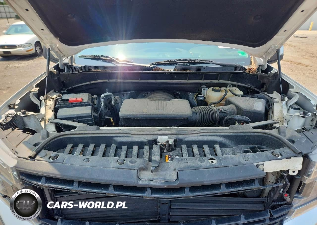 2019 Chevrolet Silverado K1500 Lt VIN:3GCUYDED4KG218535 - 11