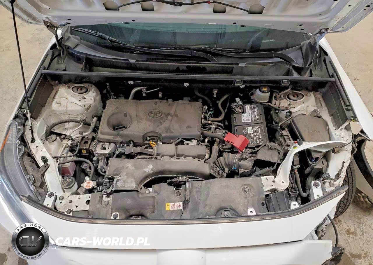 2019 Toyota Rav4 Le VIN:JTMF1RFV4KD019029 - 12