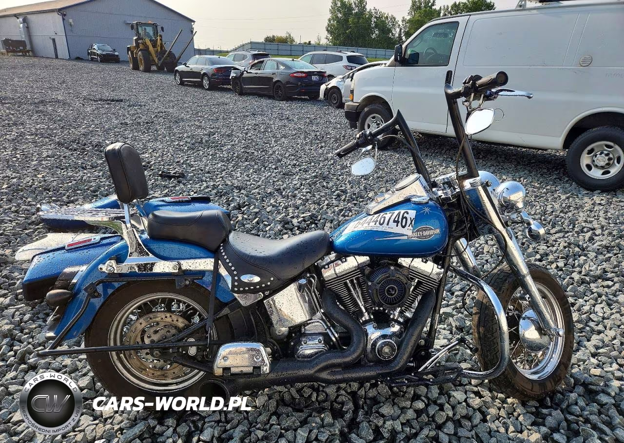 2006 Harley-Davidson Flstci