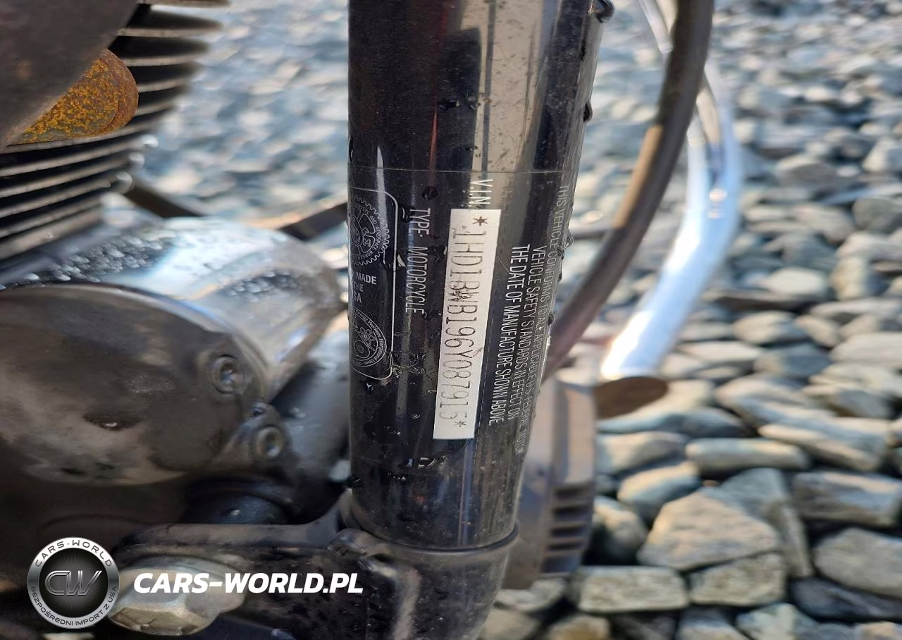 2006 Harley-Davidson Flstci VIN:1HD1BWB196Y087915 - 10