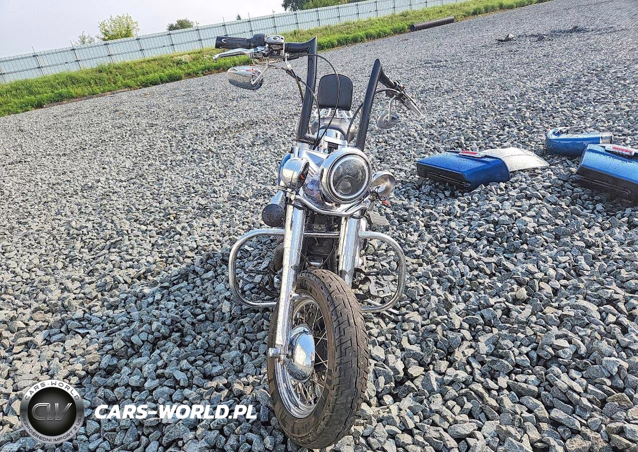 2006 Harley-Davidson Flstci VIN:1HD1BWB196Y087915 - 2