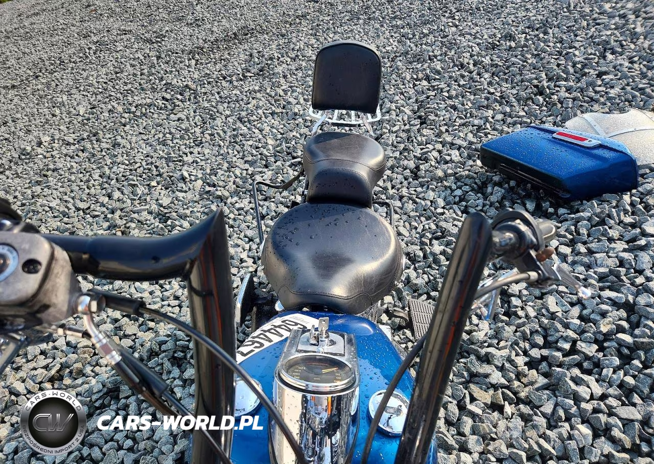 2006 Harley-Davidson Flstci VIN:1HD1BWB196Y087915 - 5