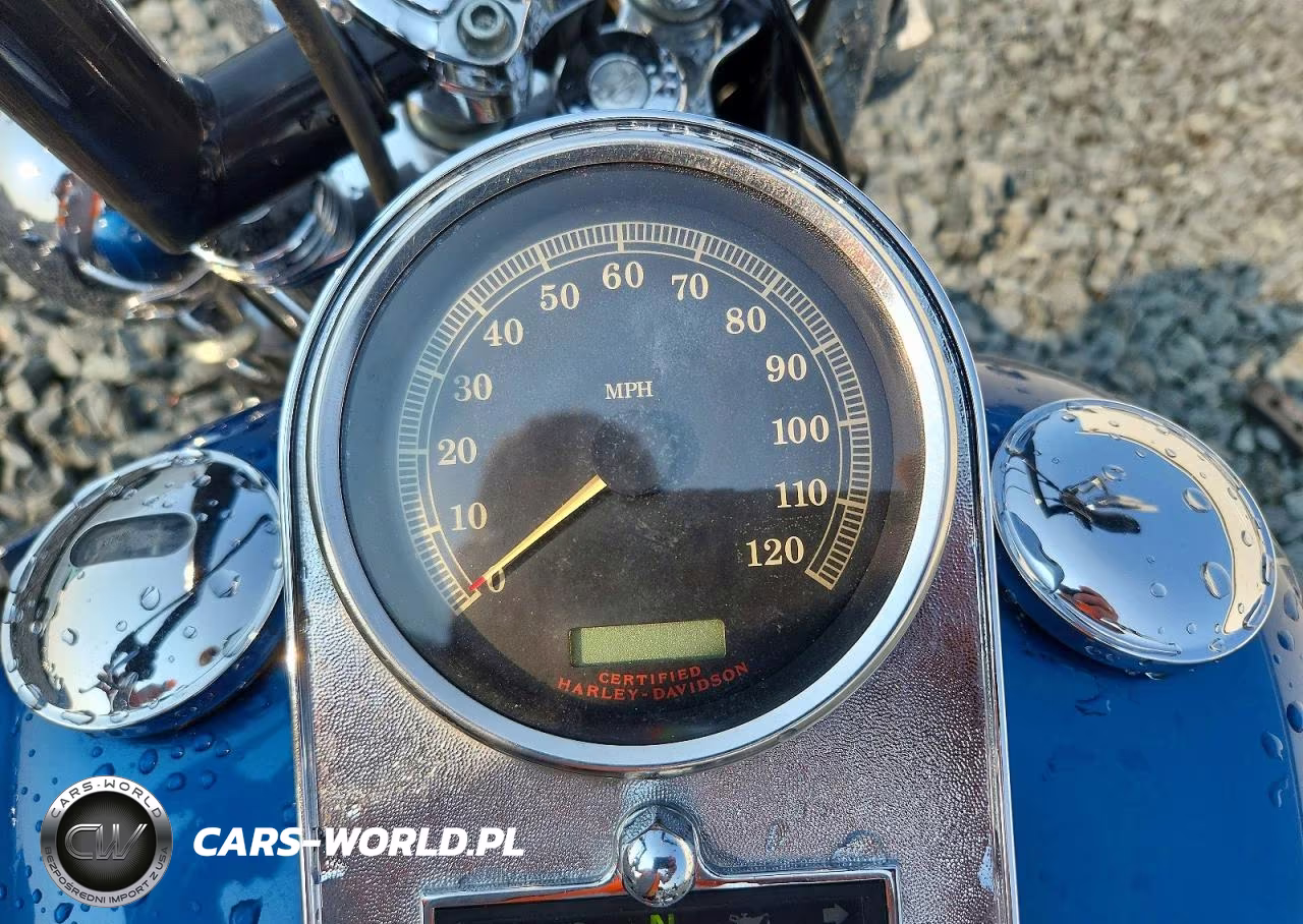 2006 Harley-Davidson Flstci VIN:1HD1BWB196Y087915 - 7
