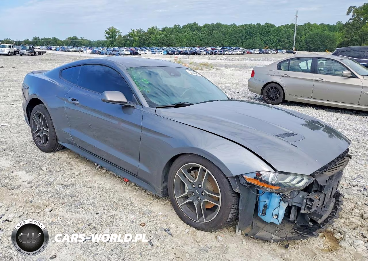 2022 Ford Mustang VIN:1FA6P8TH2N5100185 - 4