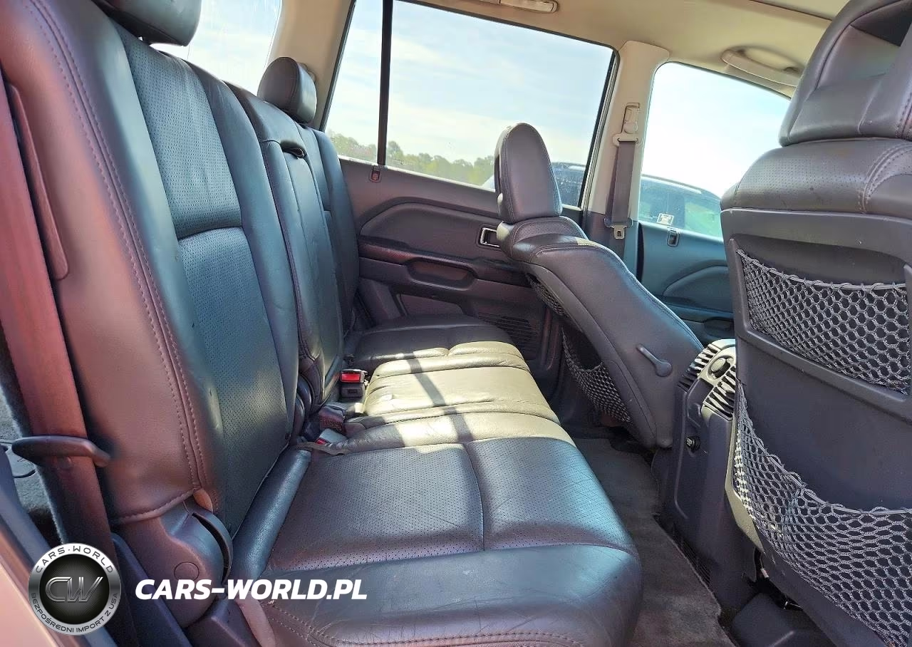 2005 Honda Pilot Exl VIN:5FNYF18505B027117 - 10