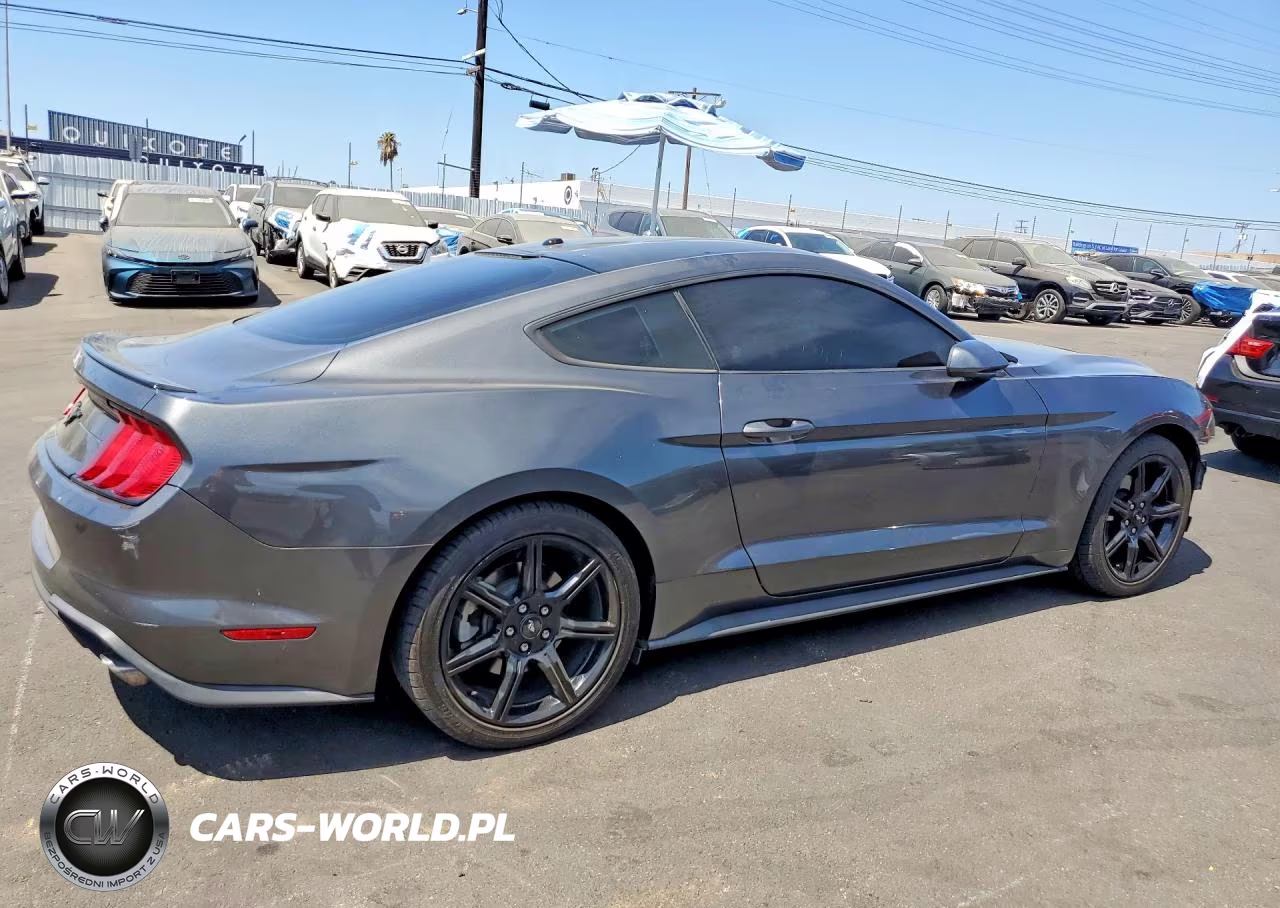 2019 Ford Mustang VIN:1FA6P8TH3K5176722 - 3