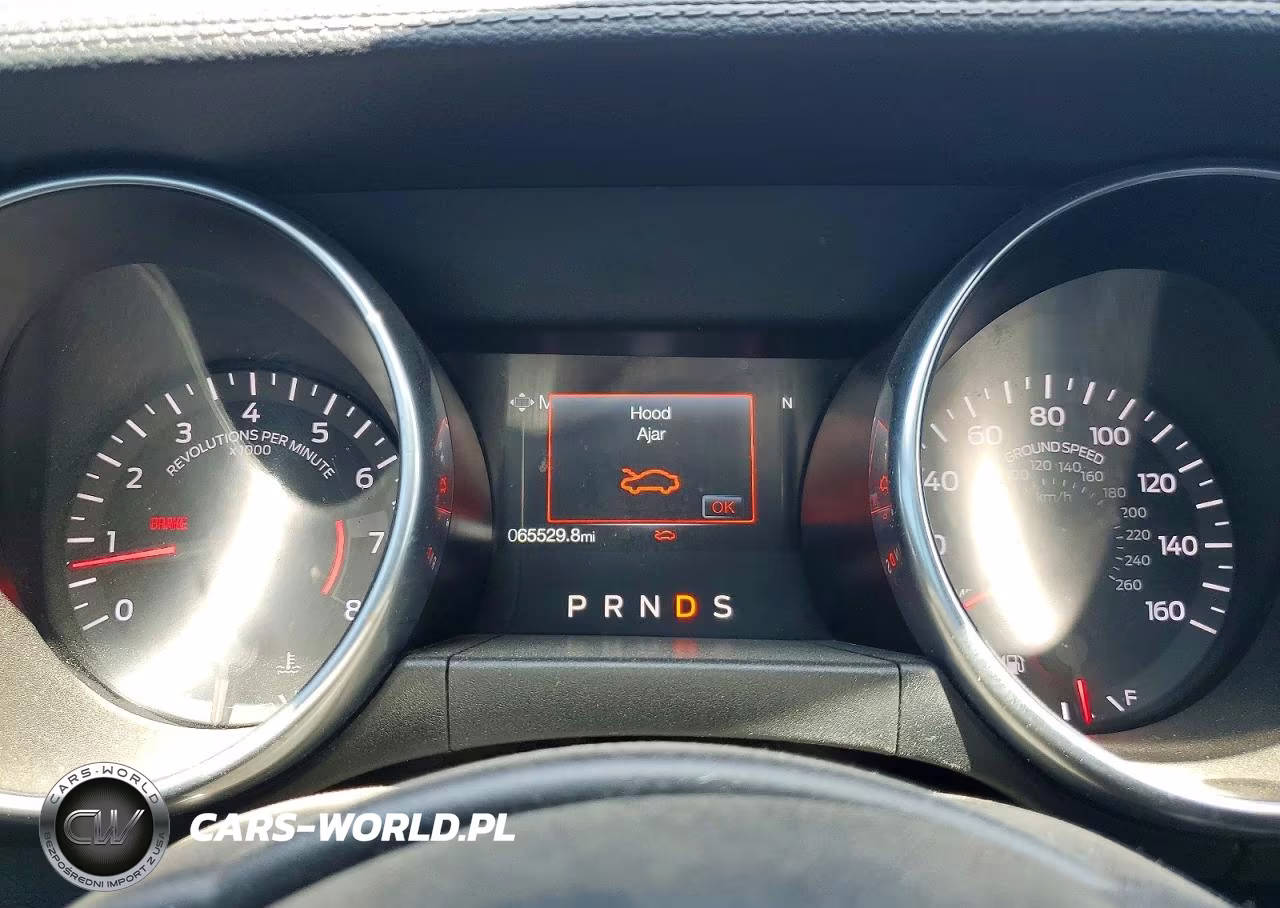 2019 Ford Mustang VIN:1FA6P8TH3K5176722 - 9