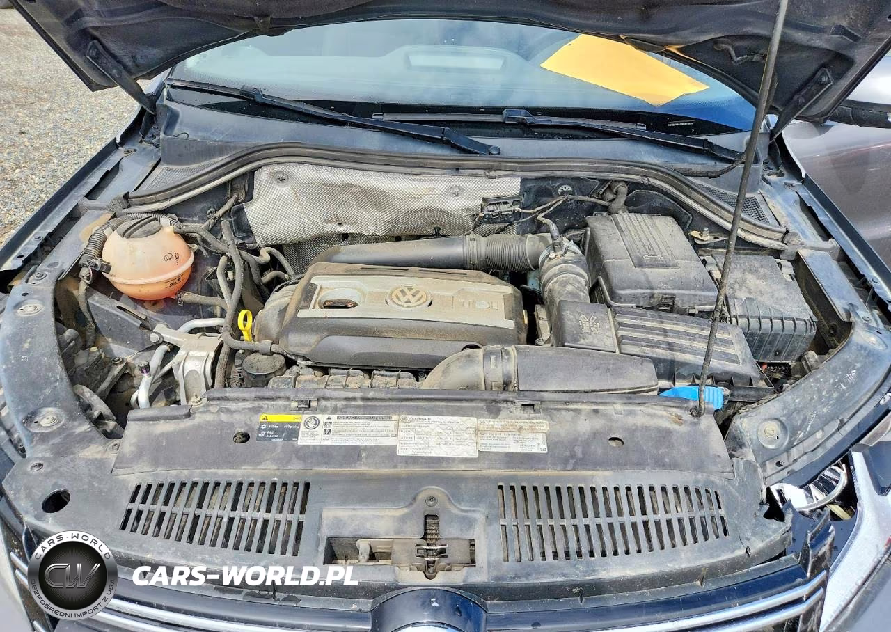 2013 Volkswagen Tiguan S VIN:WVGBV3AX2DW618846 - 11