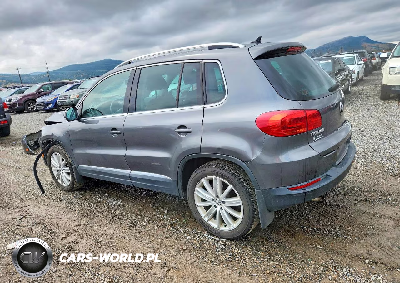 2013 Volkswagen Tiguan S VIN:WVGBV3AX2DW618846 - 2