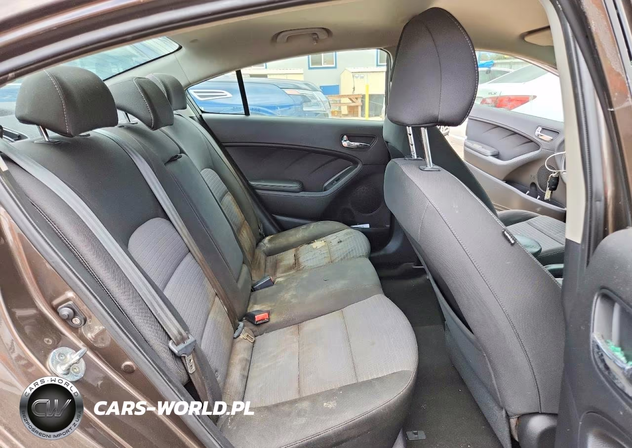 2015 Kia Forte Lx VIN:KNAFX4A65F5339622 - 10