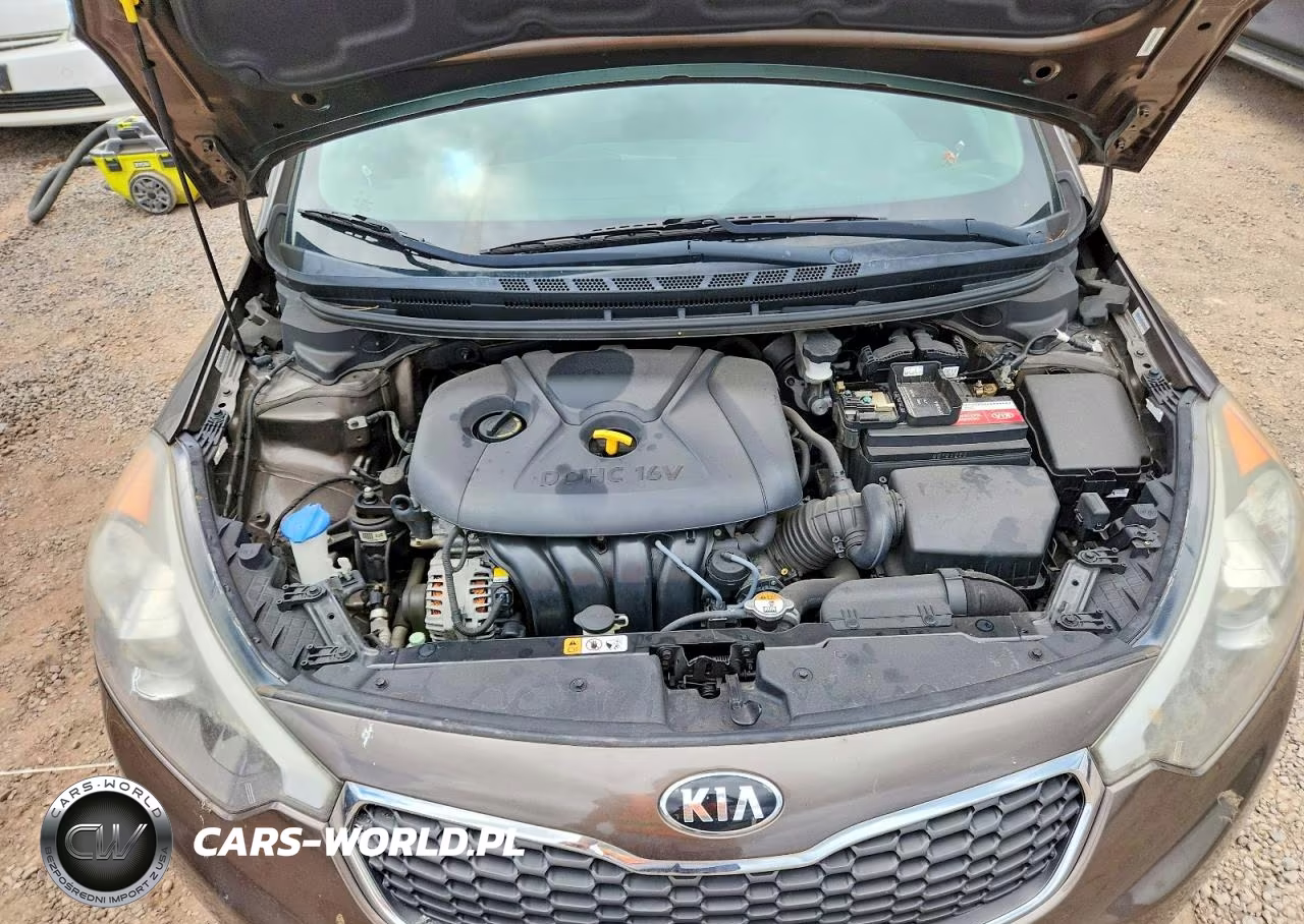 2015 Kia Forte Lx VIN:KNAFX4A65F5339622 - 11